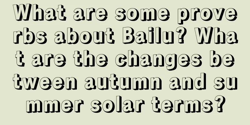 What are some proverbs about Bailu? What are the changes between autumn and summer solar terms?