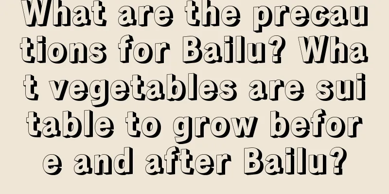 What are the precautions for Bailu? What vegetables are suitable to grow before and after Bailu?