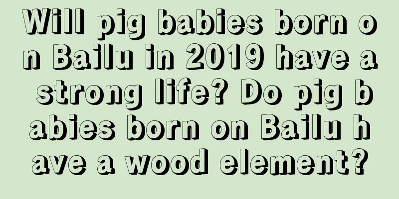 Will pig babies born on Bailu in 2019 have a strong life? Do pig babies born on Bailu have a wood element?