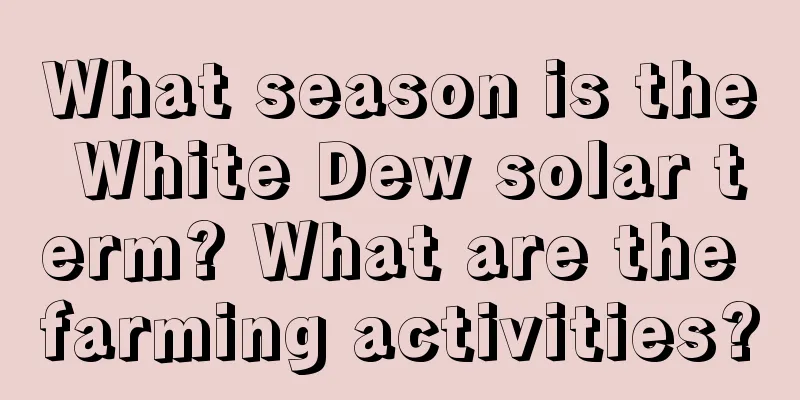 What season is the White Dew solar term? What are the farming activities?