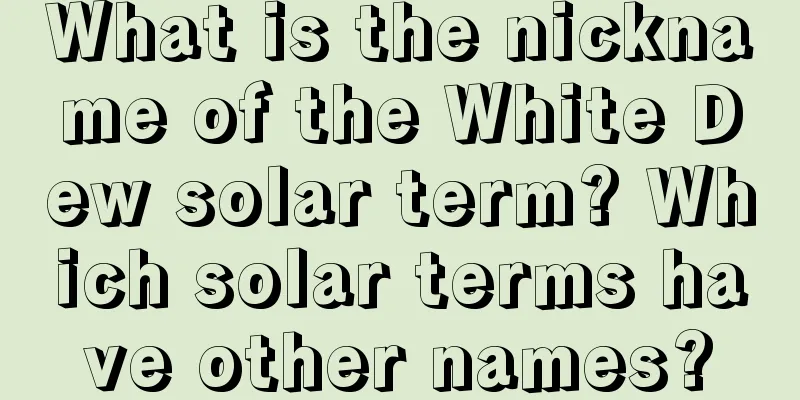 What is the nickname of the White Dew solar term? Which solar terms have other names?