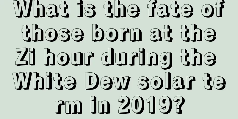 What is the fate of those born at the Zi hour during the White Dew solar term in 2019?