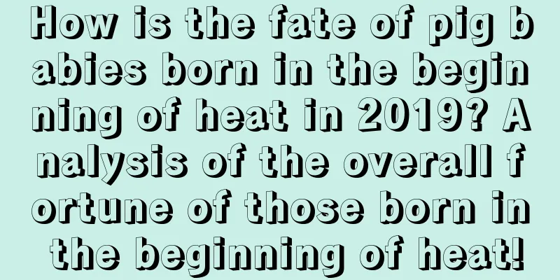How is the fate of pig babies born in the beginning of heat in 2019? Analysis of the overall fortune of those born in the beginning of heat!