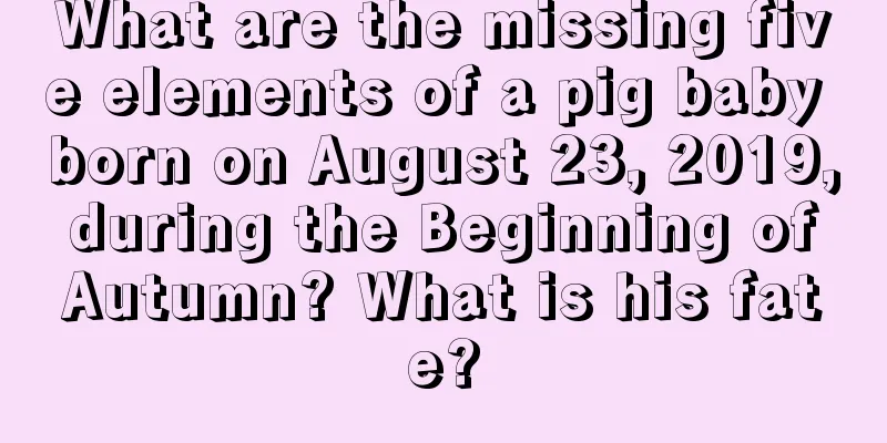 What are the missing five elements of a pig baby born on August 23, 2019, during the Beginning of Autumn? What is his fate?