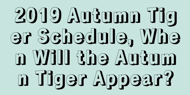 2019 Autumn Tiger Schedule, When Will the Autumn Tiger Appear?