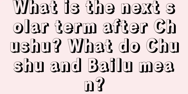What is the next solar term after Chushu? What do Chushu and Bailu mean?