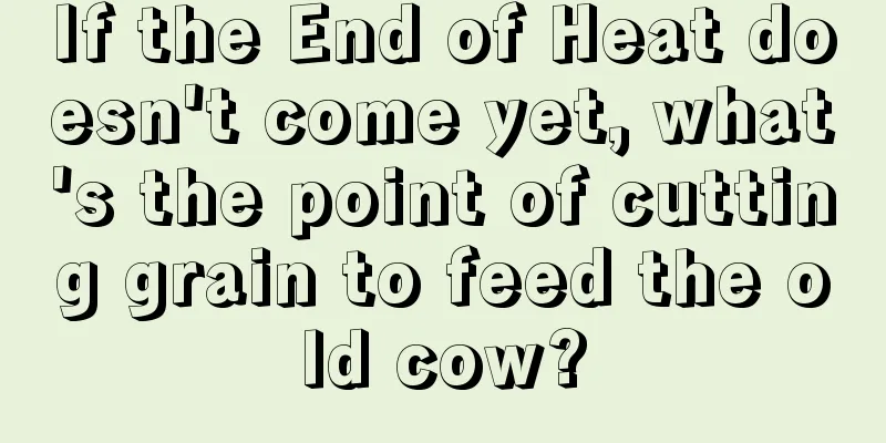 If the End of Heat doesn't come yet, what's the point of cutting grain to feed the old cow?