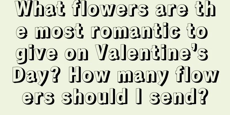 What flowers are the most romantic to give on Valentine’s Day? How many flowers should I send?