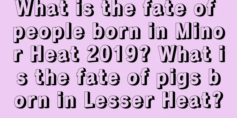 What is the fate of people born in Minor Heat 2019? What is the fate of pigs born in Lesser Heat?