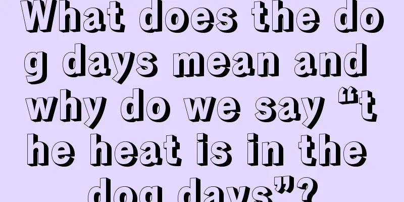 What does the dog days mean and why do we say “the heat is in the dog days”?