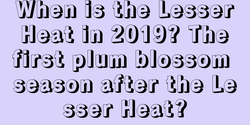 When is the Lesser Heat in 2019? The first plum blossom season after the Lesser Heat?