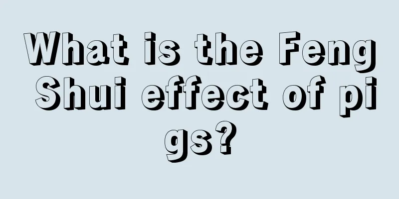 What is the Feng Shui effect of pigs?