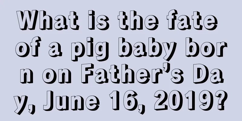 What is the fate of a pig baby born on Father’s Day, June 16, 2019?