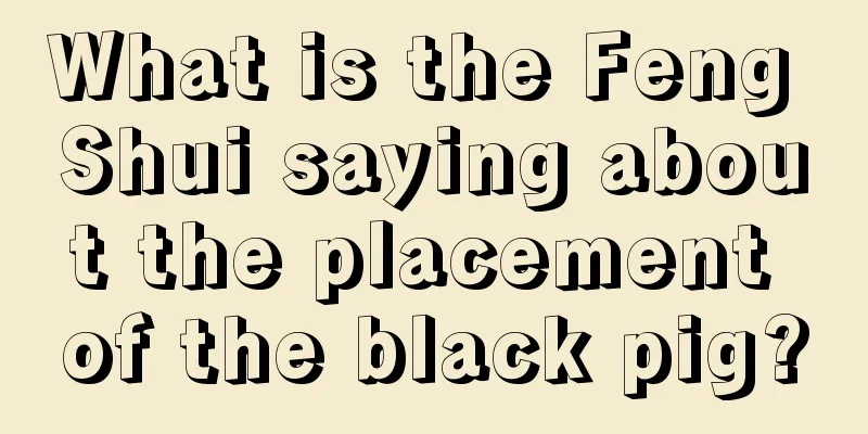 What is the Feng Shui saying about the placement of the black pig?
