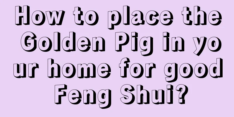 How to place the Golden Pig in your home for good Feng Shui?