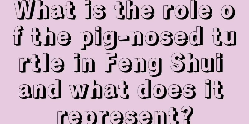 What is the role of the pig-nosed turtle in Feng Shui and what does it represent?