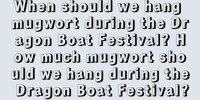 When should we hang mugwort during the Dragon Boat Festival? How much mugwort should we hang during the Dragon Boat Festival?