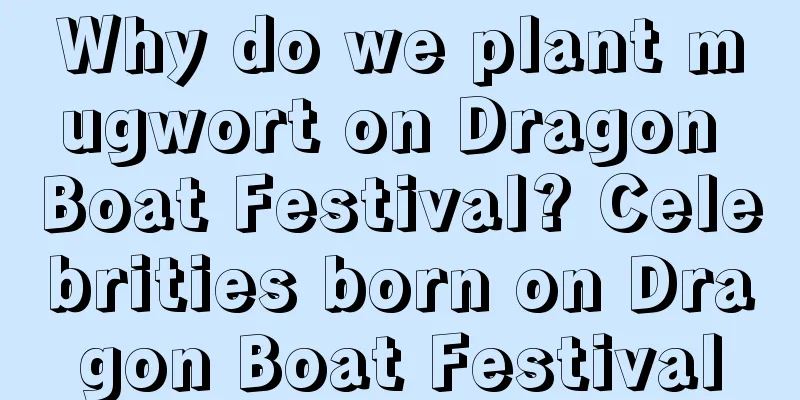 Why do we plant mugwort on Dragon Boat Festival? Celebrities born on Dragon Boat Festival