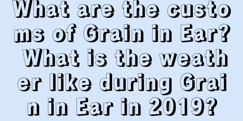 What are the customs of Grain in Ear? What is the weather like during Grain in Ear in 2019?