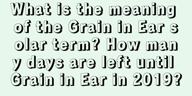 What is the meaning of the Grain in Ear solar term? How many days are left until Grain in Ear in 2019?