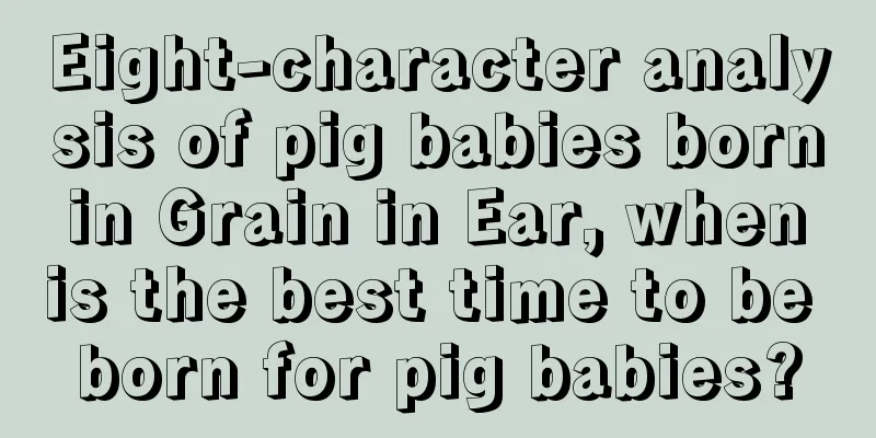 Eight-character analysis of pig babies born in Grain in Ear, when is the best time to be born for pig babies?