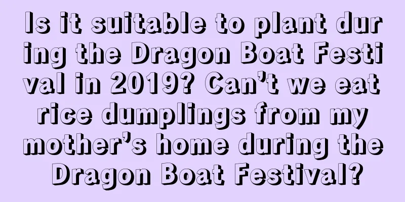 Is it suitable to plant during the Dragon Boat Festival in 2019? Can’t we eat rice dumplings from my mother’s home during the Dragon Boat Festival?