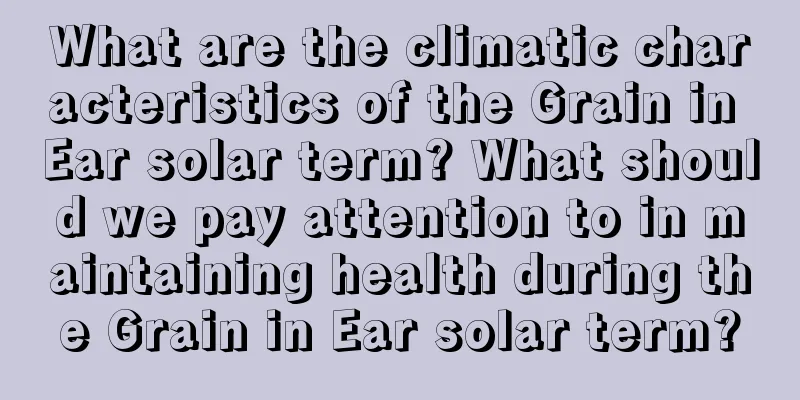 What are the climatic characteristics of the Grain in Ear solar term? What should we pay attention to in maintaining health during the Grain in Ear solar term?