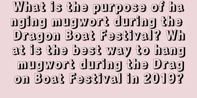 What is the purpose of hanging mugwort during the Dragon Boat Festival? What is the best way to hang mugwort during the Dragon Boat Festival in 2019?