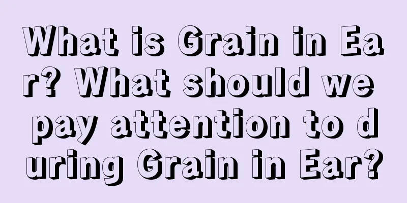 What is Grain in Ear? What should we pay attention to during Grain in Ear?