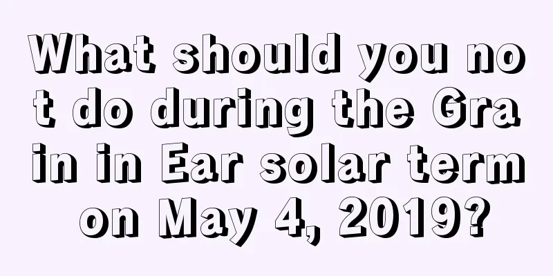 What should you not do during the Grain in Ear solar term on May 4, 2019?
