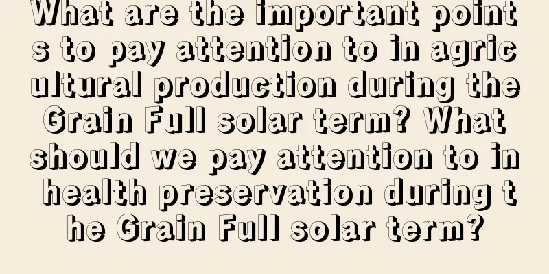 What are the important points to pay attention to in agricultural production during the Grain Full solar term? What should we pay attention to in health preservation during the Grain Full solar term?