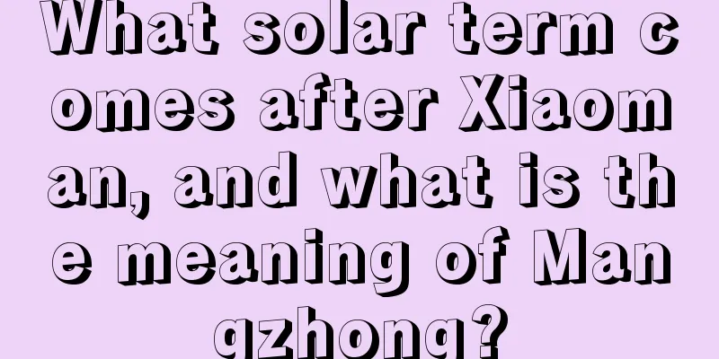 What solar term comes after Xiaoman, and what is the meaning of Mangzhong?