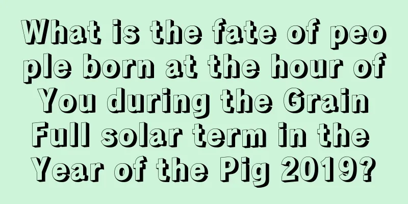 What is the fate of people born at the hour of You during the Grain Full solar term in the Year of the Pig 2019?