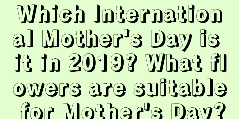 Which International Mother's Day is it in 2019? What flowers are suitable for Mother's Day?