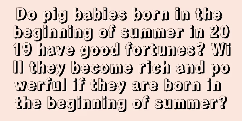 Do pig babies born in the beginning of summer in 2019 have good fortunes? Will they become rich and powerful if they are born in the beginning of summer?