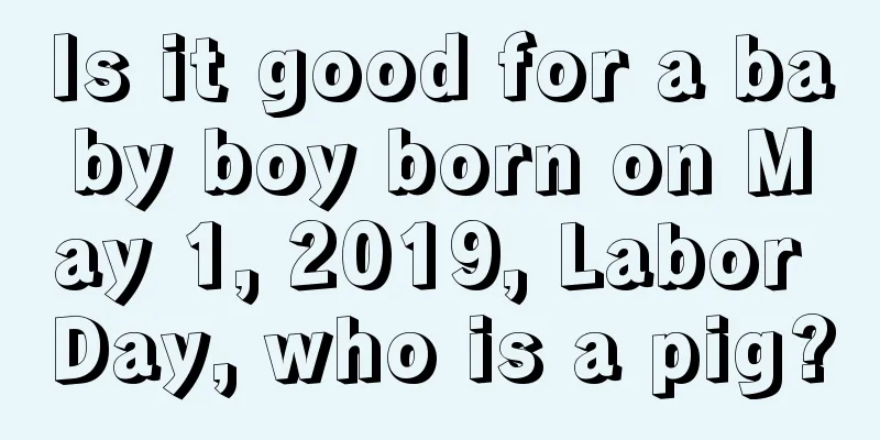 Is it good for a baby boy born on May 1, 2019, Labor Day, who is a pig?