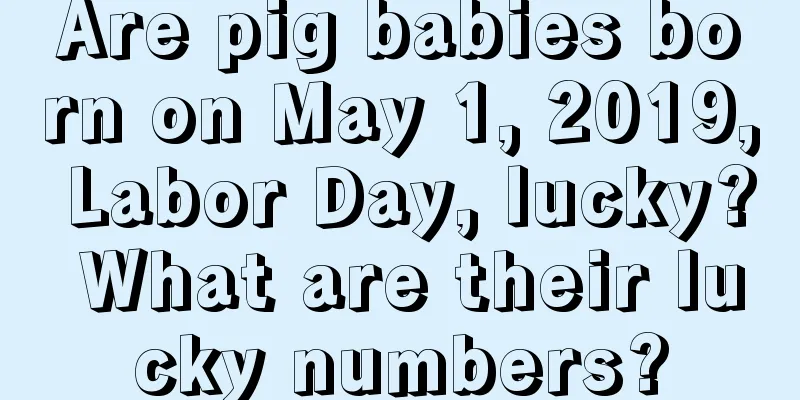 Are pig babies born on May 1, 2019, Labor Day, lucky? What are their lucky numbers?