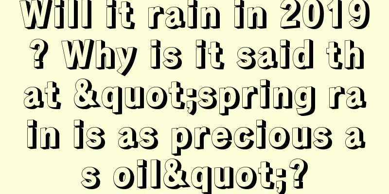 Will it rain in 2019? Why is it said that "spring rain is as precious as oil"?