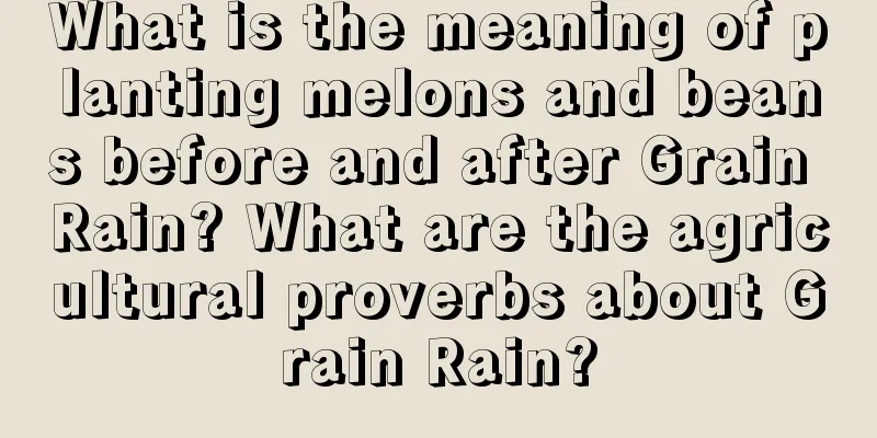 What is the meaning of planting melons and beans before and after Grain Rain? What are the agricultural proverbs about Grain Rain?