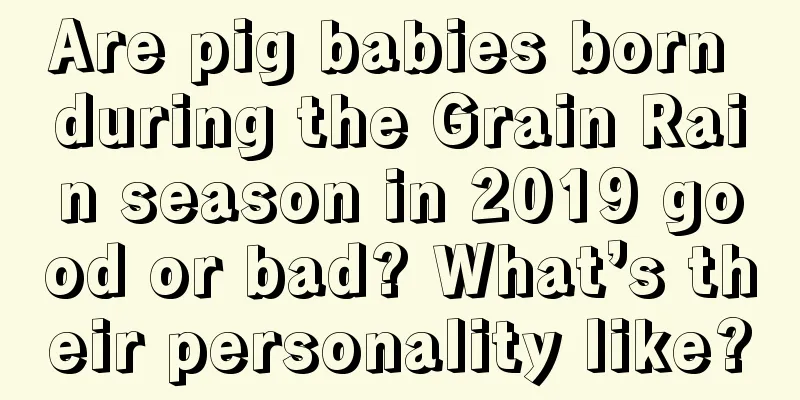 Are pig babies born during the Grain Rain season in 2019 good or bad? What’s their personality like?