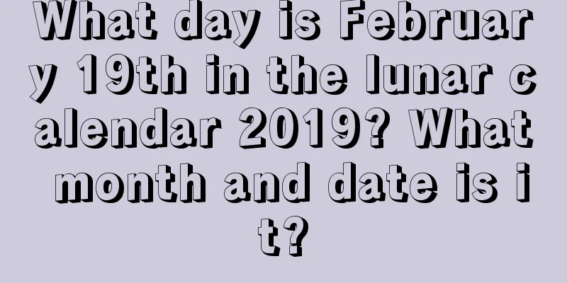 What day is February 19th in the lunar calendar 2019? What month and date is it?