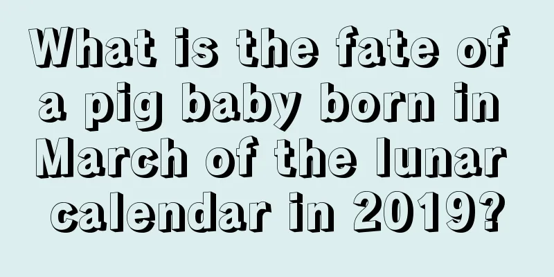What is the fate of a pig baby born in March of the lunar calendar in 2019?