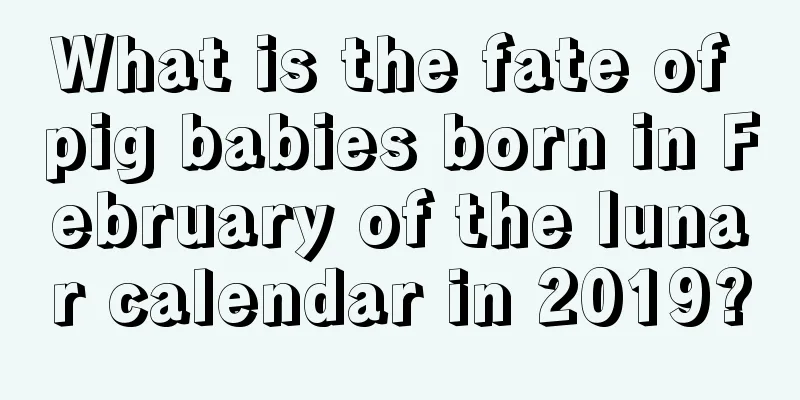 What is the fate of pig babies born in February of the lunar calendar in 2019?