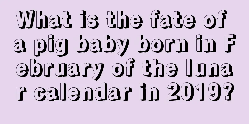 What is the fate of a pig baby born in February of the lunar calendar in 2019?