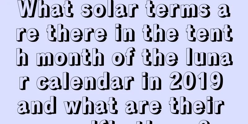 What solar terms are there in the tenth month of the lunar calendar in 2019 and what are their specific times?