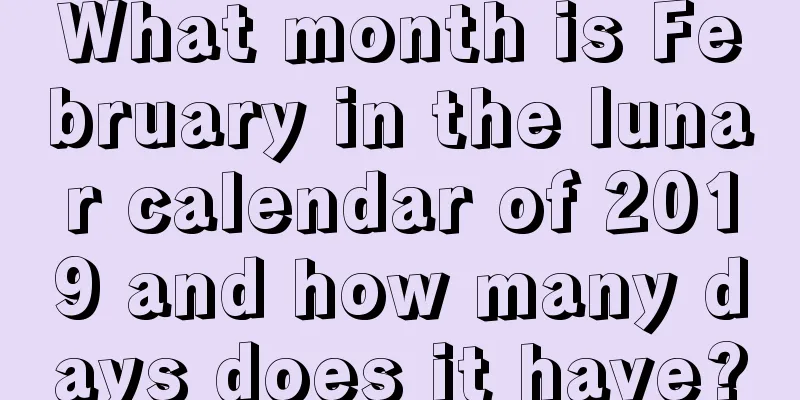 What month is February in the lunar calendar of 2019 and how many days does it have?