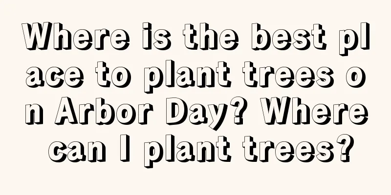 Where is the best place to plant trees on Arbor Day? Where can I plant trees?