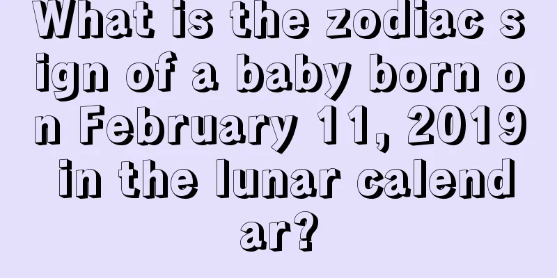 What is the zodiac sign of a baby born on February 11, 2019 in the lunar calendar?