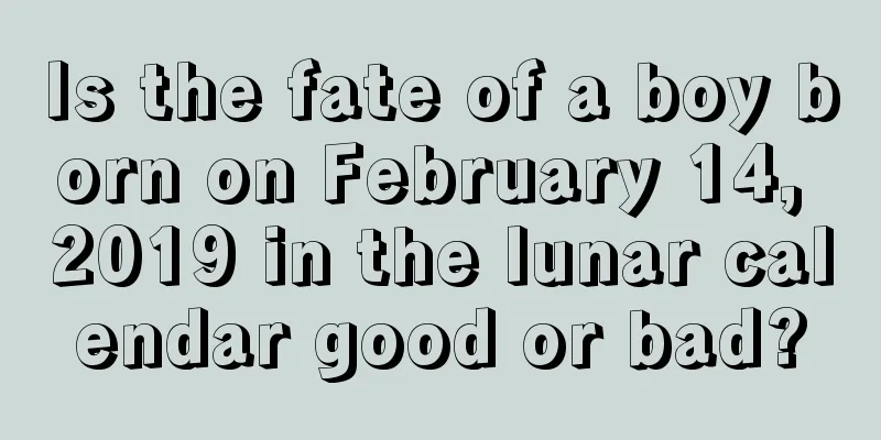 Is the fate of a boy born on February 14, 2019 in the lunar calendar good or bad?