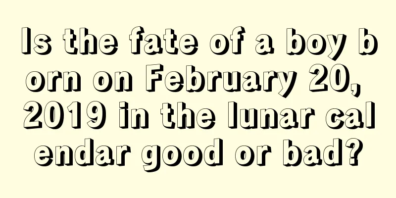 Is the fate of a boy born on February 20, 2019 in the lunar calendar good or bad?